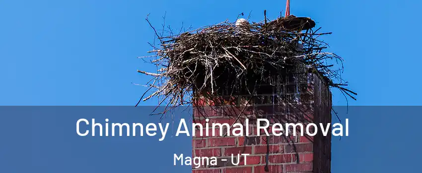  Chimney Animal Removal Magna - UT