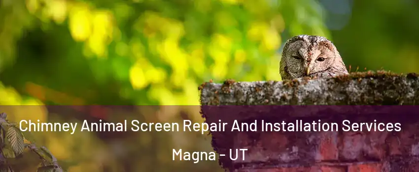  Chimney Animal Screen Repair And Installation Services Magna - UT