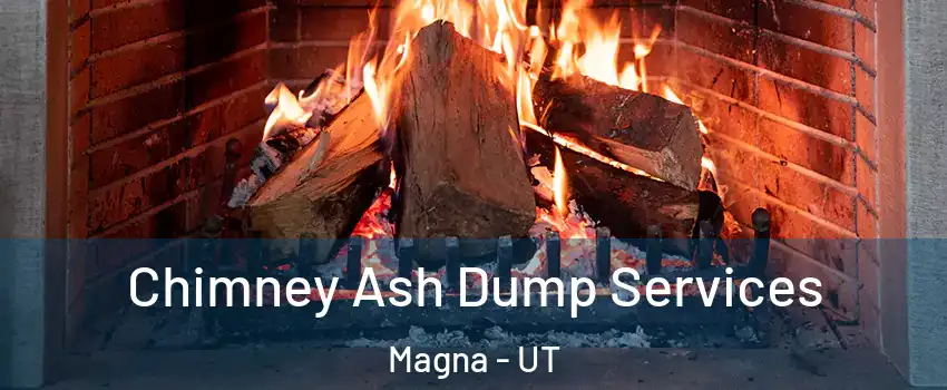  Chimney Ash Dump Services Magna - UT