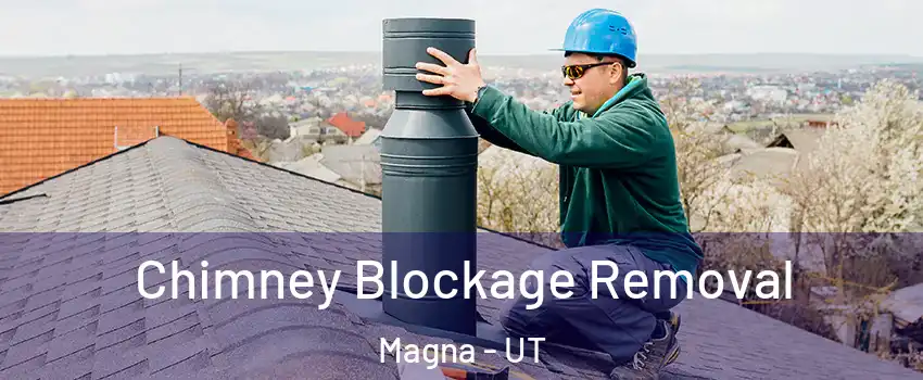  Chimney Blockage Removal Magna - UT