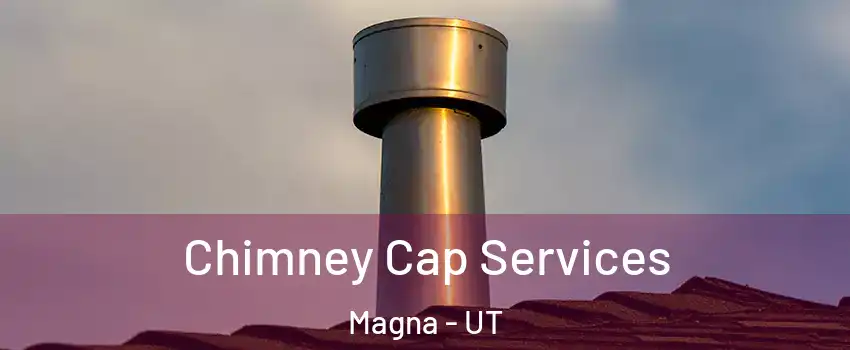 Chimney Cap Services Magna - UT