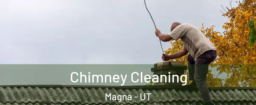  Chimney Cleaning Magna - UT