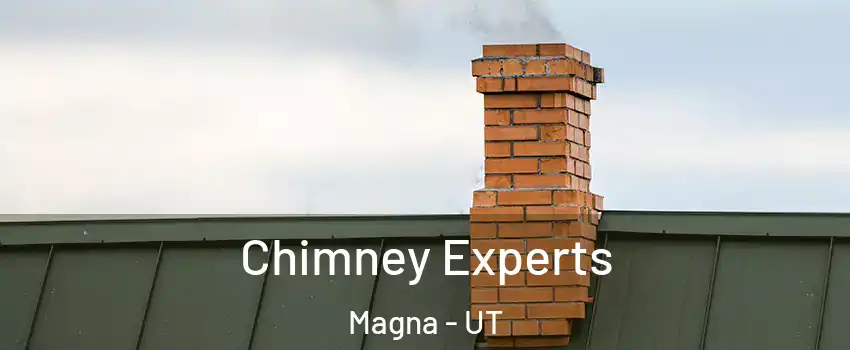  Chimney Experts Magna - UT