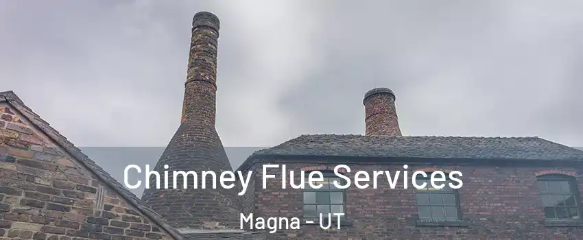  Chimney Flue Services Magna - UT