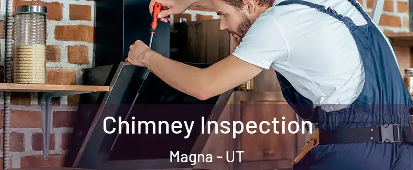  Chimney Inspection Magna - UT