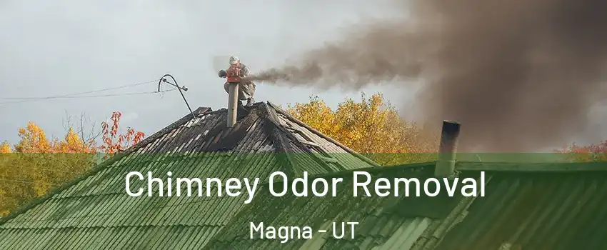  Chimney Odor Removal Magna - UT