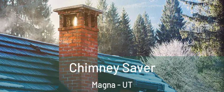  Chimney Saver Magna - UT
