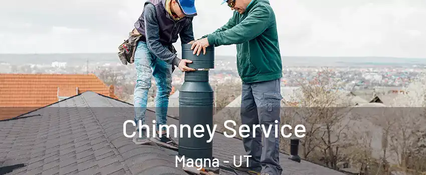  Chimney Service Magna - UT