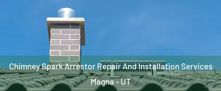  Chimney Spark Arrestor Repair And Installation Services Magna - UT