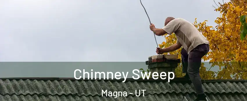  Chimney Sweep Magna - UT