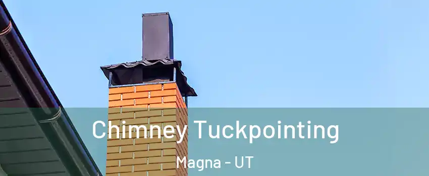  Chimney Tuckpointing Magna - UT