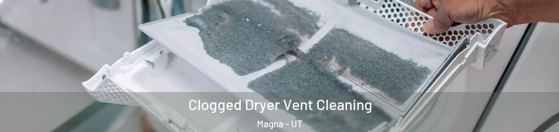 Clogged Dryer Vent Cleaning Magna - UT
