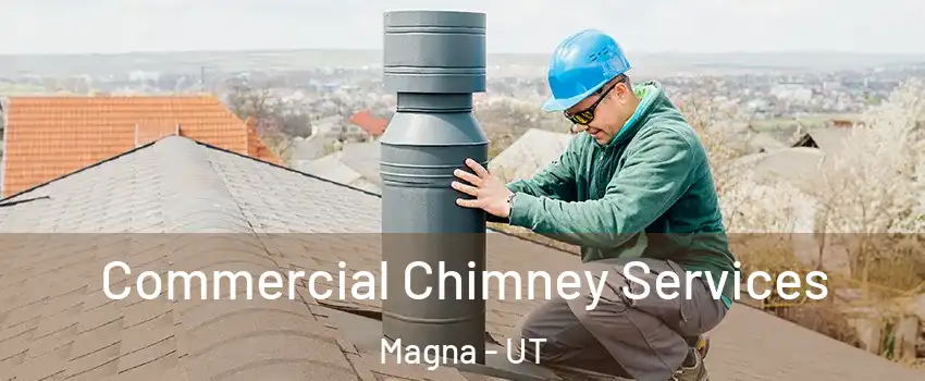  Commercial Chimney Services Magna - UT