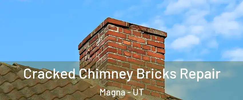  Cracked Chimney Bricks Repair Magna - UT