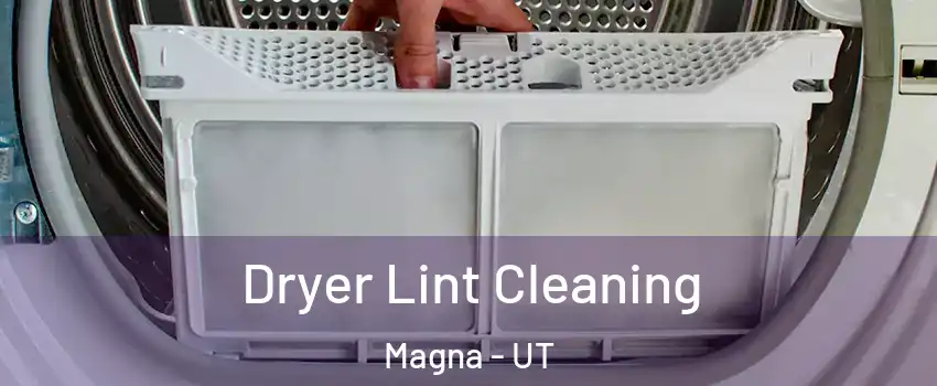 Dryer Lint Cleaning Magna - UT