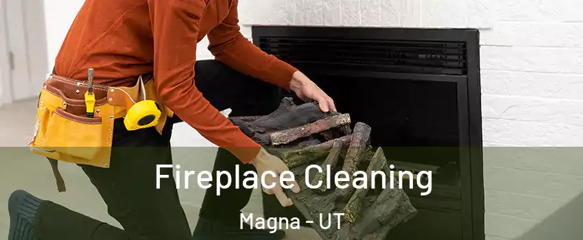  Fireplace Cleaning Magna - UT