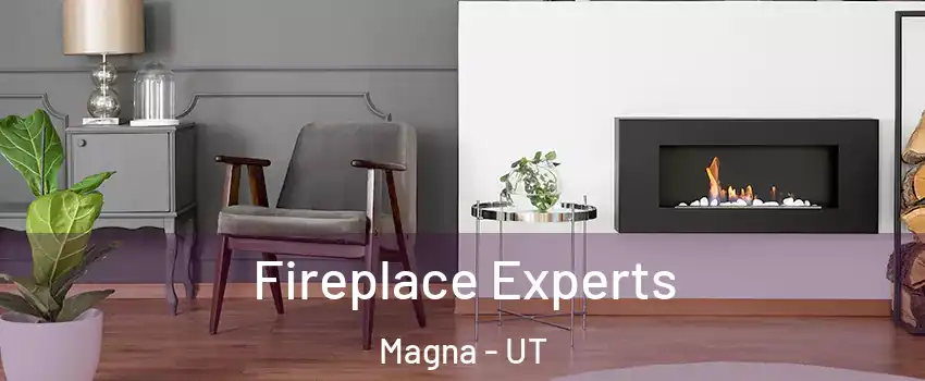  Fireplace Experts Magna - UT