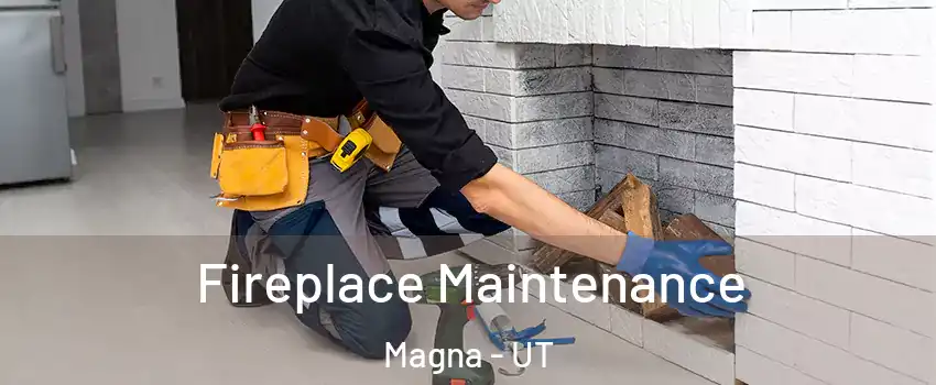 Fireplace Maintenance Magna - UT