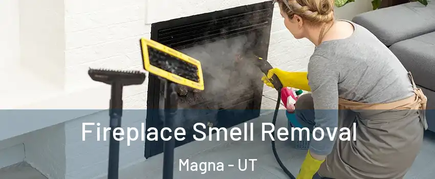  Fireplace Smell Removal Magna - UT