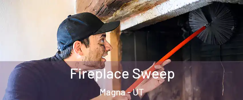  Fireplace Sweep Magna - UT