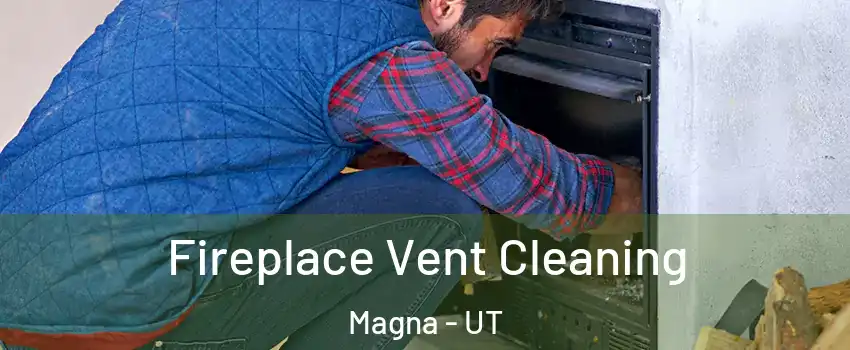  Fireplace Vent Cleaning Magna - UT