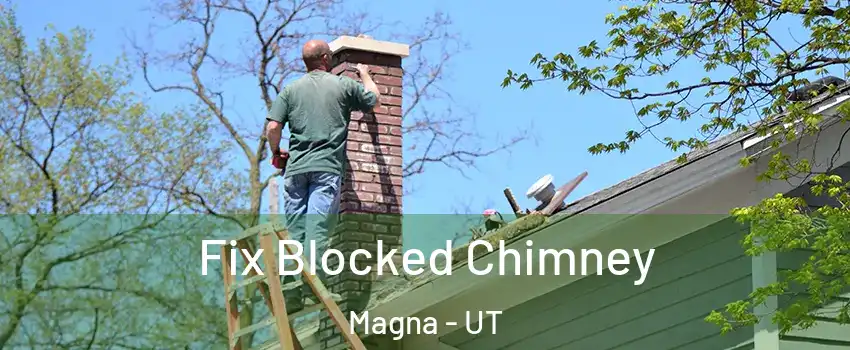  Fix Blocked Chimney Magna - UT