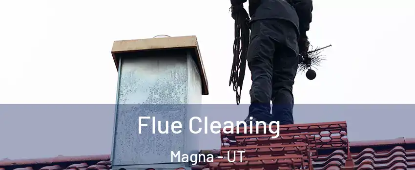  Flue Cleaning Magna - UT
