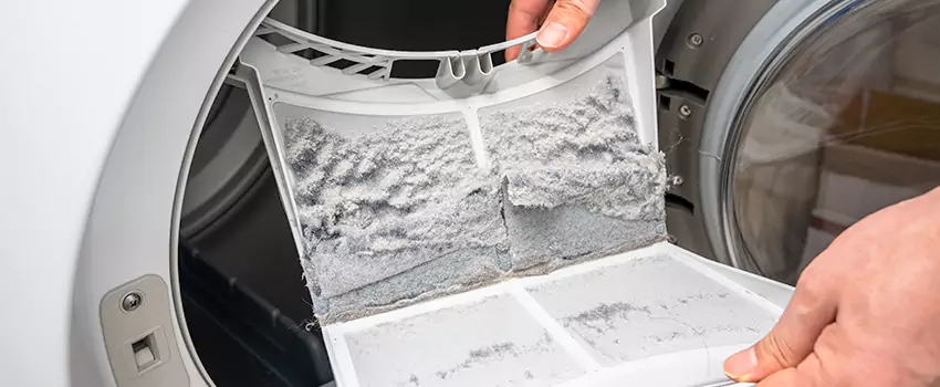 Best Dryer Lint Removal Company in Magna, Utah