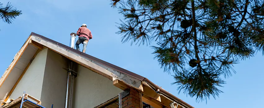 Birds Removal Contractors from Chimney in Magna, UT