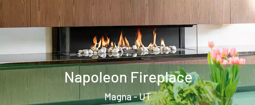  Napoleon Fireplace Magna - UT