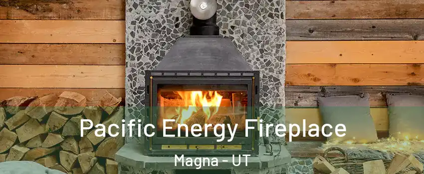  Pacific Energy Fireplace Magna - UT