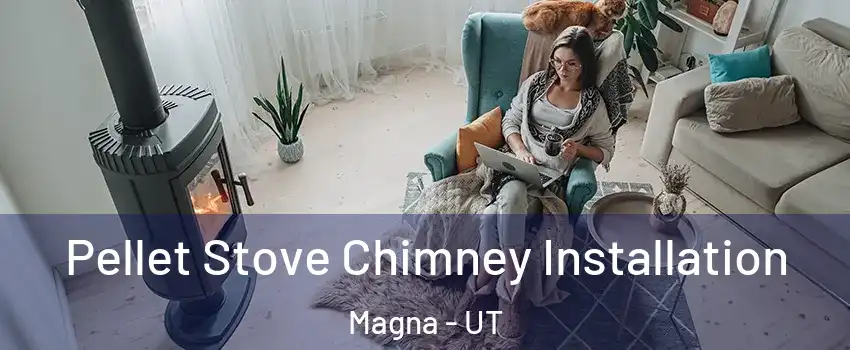  Pellet Stove Chimney Installation Magna - UT