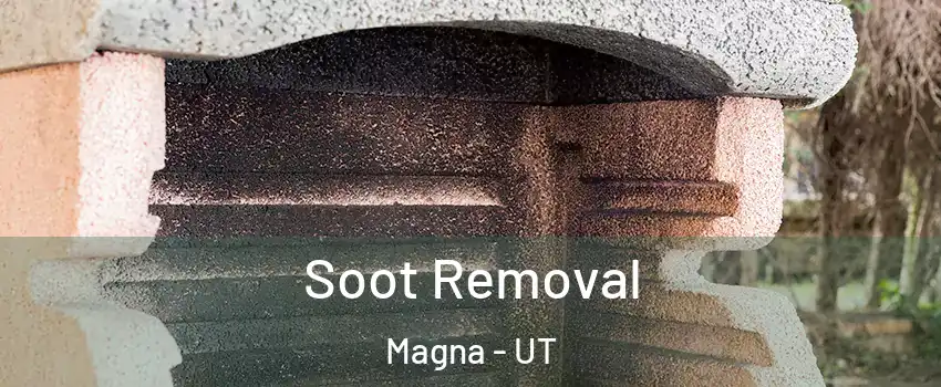  Soot Removal Magna - UT