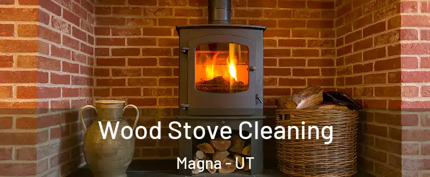  Wood Stove Cleaning Magna - UT